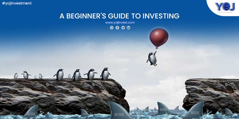 Beginner Investing Guide